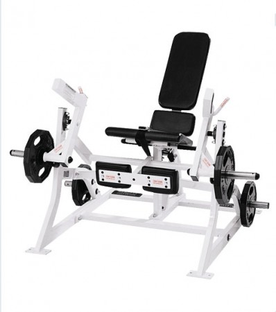 Leg Extension